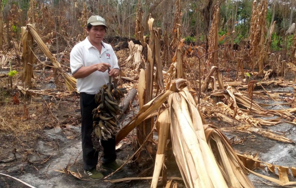 El TIPNIS arde: van 11 mil hectáreas quemadas e indígenas exigen atención