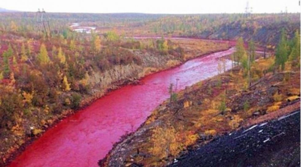 Las aguas del Río Nilo se tiñeron de rojo provocando conmoción mundial (video)