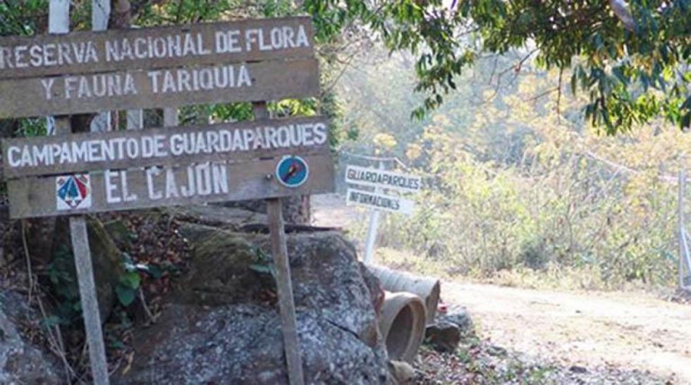 Sernap confirma un incendio en Tariquía, 120 hectáreas fueron afectadas