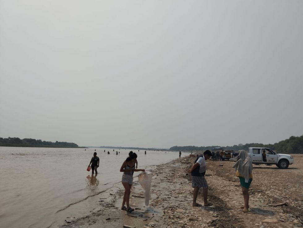 “Borrachera” provocó la muerte de peces en el río Pilcomayo 