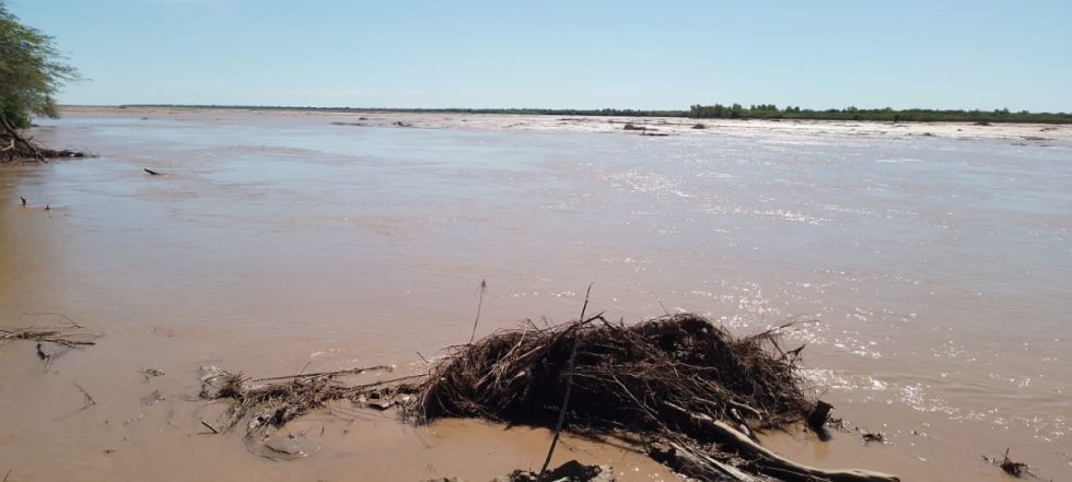Gobernación informa que la mortandad de peces en el rio Pilcomayo fue por la turbiedad del agua