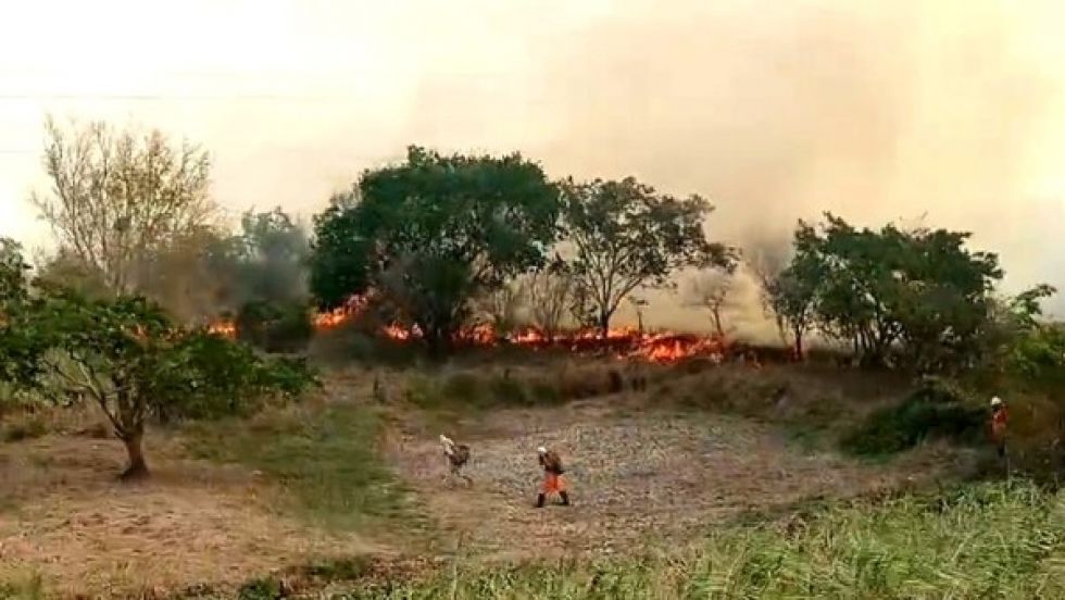 Declaran zona de desastre al TIPNIS por incendios forestales y la sequía