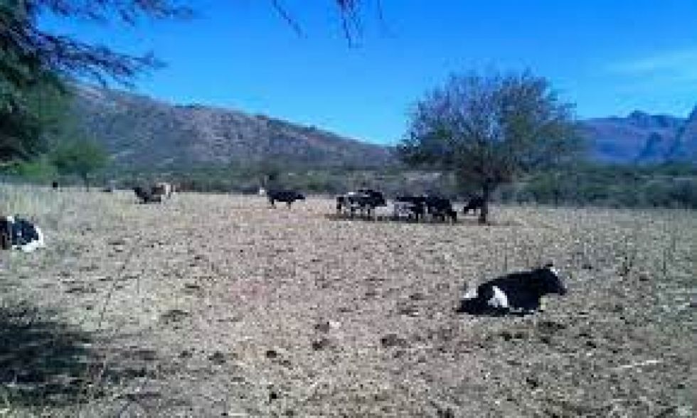 Comunidades de Tarija se abastecen de agua en cisternas por intenso calor