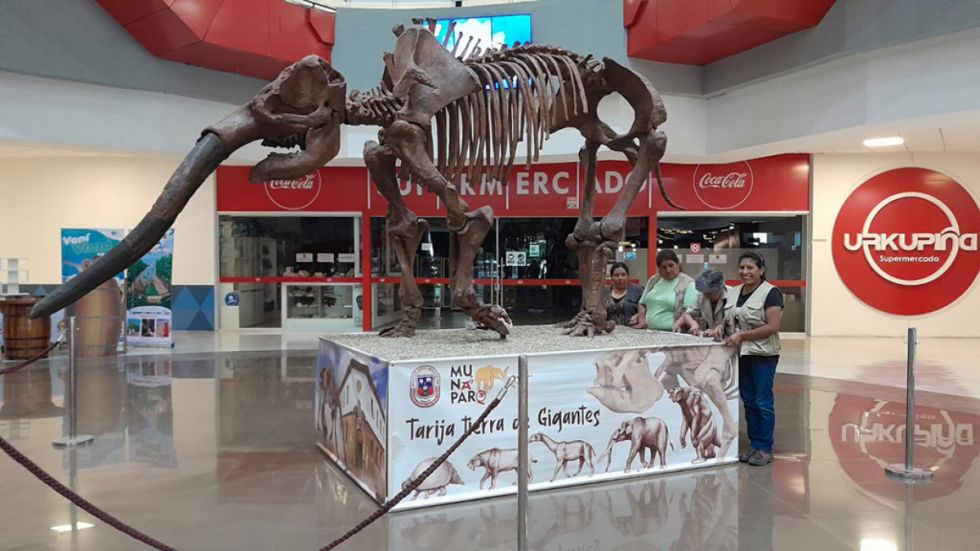 Día Internacional contra  el tráfico ilícito de bienes culturales