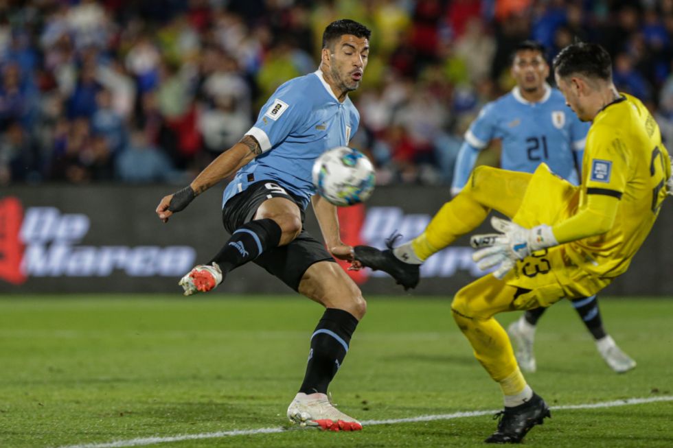 La calificación de los jugadores de la Selección Boliviana 