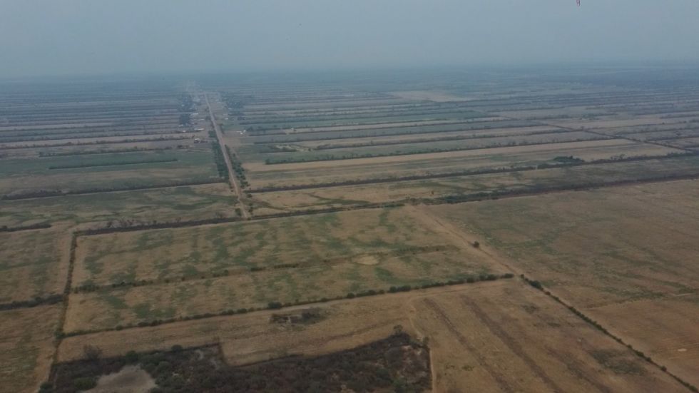 Deforestación: Advierten que el Chaco se está quedando “pelado”