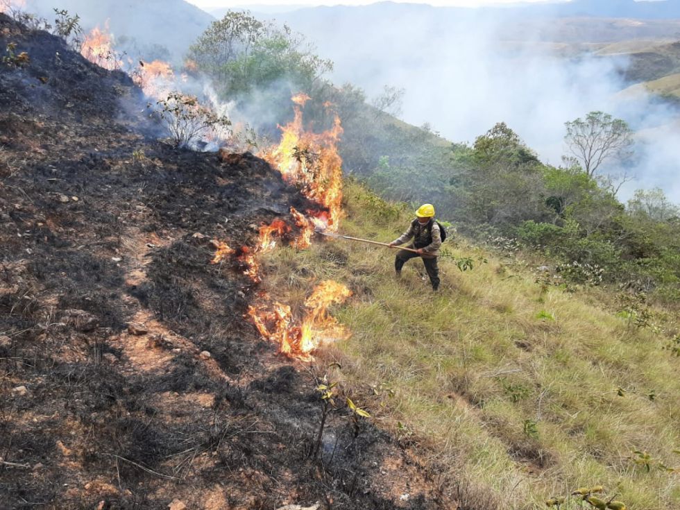 Incendios: Opositores proponen 8 años de cárcel para los “pirómanos”