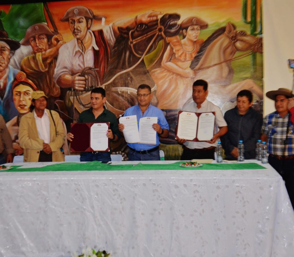 Montes promulga Ley para transferir bienes a privados 