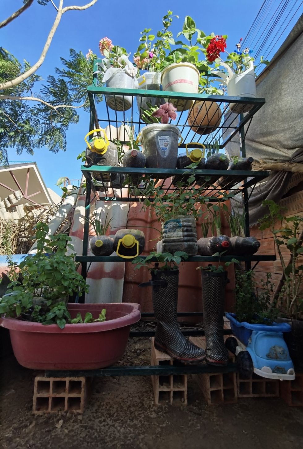 Nuevas semillas para el Barrio Los Ángeles 