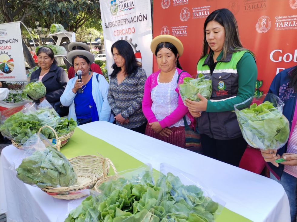 Gobernación capacitó a mujeres en producción hidropónica ahorrando un 95% en agua