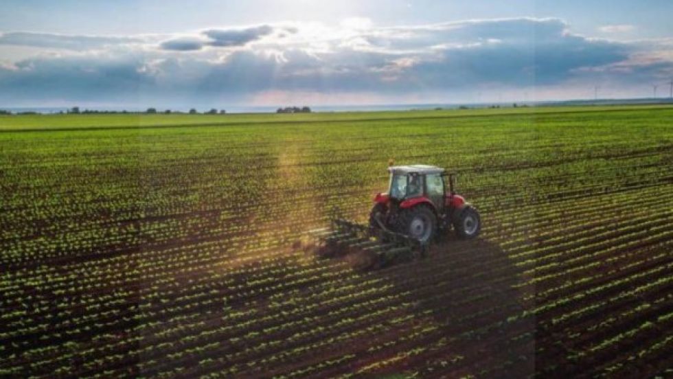 Empresarios quieren importar su propio combustible, piden al Gobierno facilitar la posibilidad