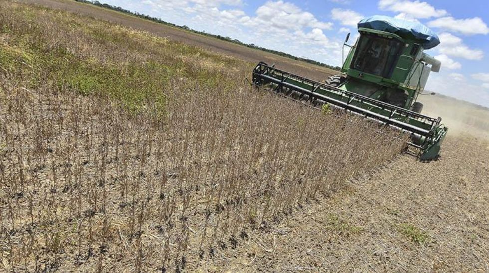 CEDLA: Crisis del gas da nuevo escenario a la minería y el agro