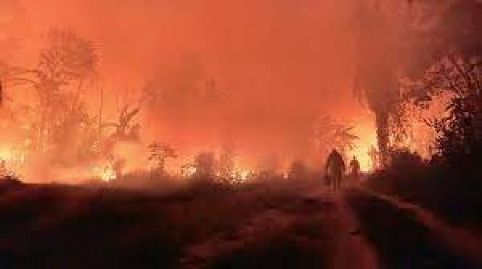 Incendios: China dona a Bolivia $us 100.000