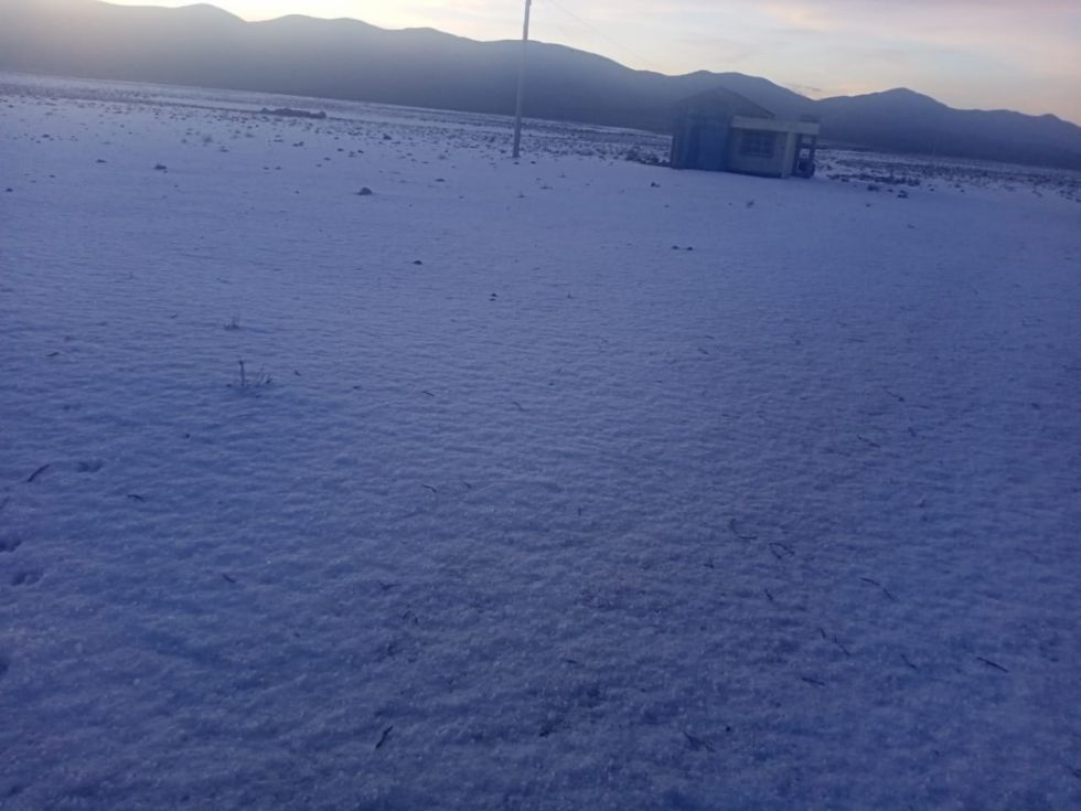 Granizo afectó cultivos y ganado en 20 comunidades de Yunchará