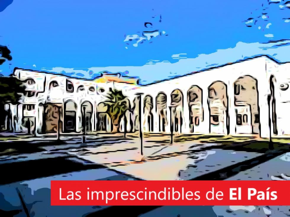 Especulación argentina, la plaga de Morros Blancos, un año de Boluarte y mucho más: Lee las imprescindibles de hoy