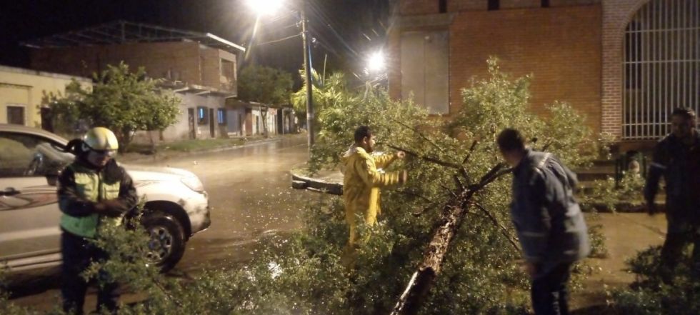 Torrencial lluvia anega calles y tumba árboles en Yacuiba y Villa Montes (Videos)