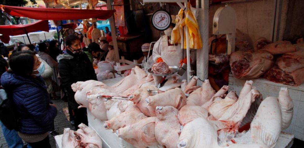 Aumenta producción de carnes de pollo, res y cerdo en Bolivia; alcanzan récords y niveles más altos