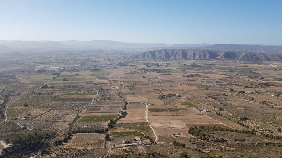 La sequía y el calor causaron estragos