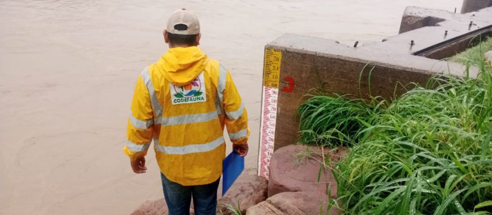 Pilcomayo: Esperan que el caudal asegure el sábalo