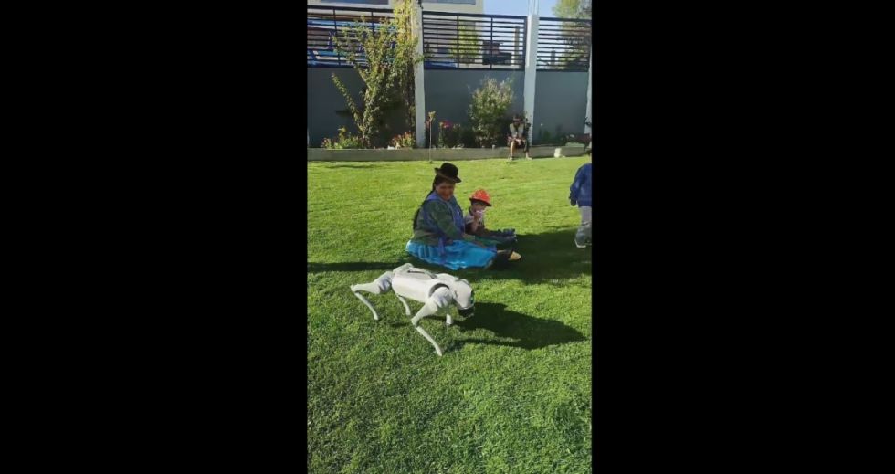 Conozcan a Senku, el primer perro robot de Bolivia creado por un joven ingeniero de La Paz (Video)