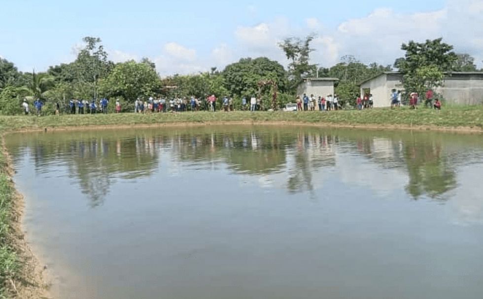 Lavado: sugieren investigar a Evo por criaderos de tambaquí