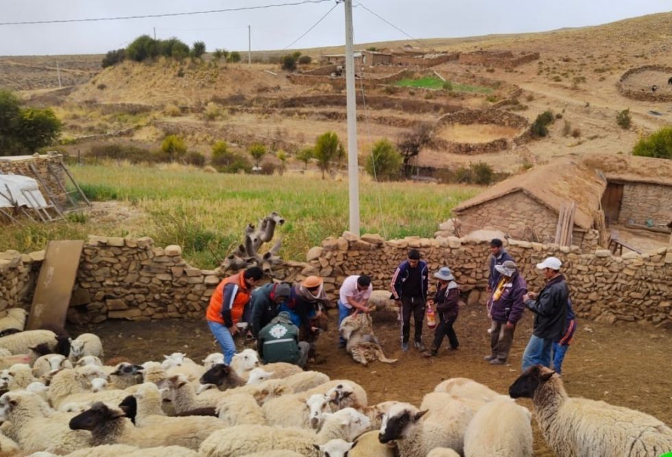 Falta de lluvias amenaza al agro en la zona alta