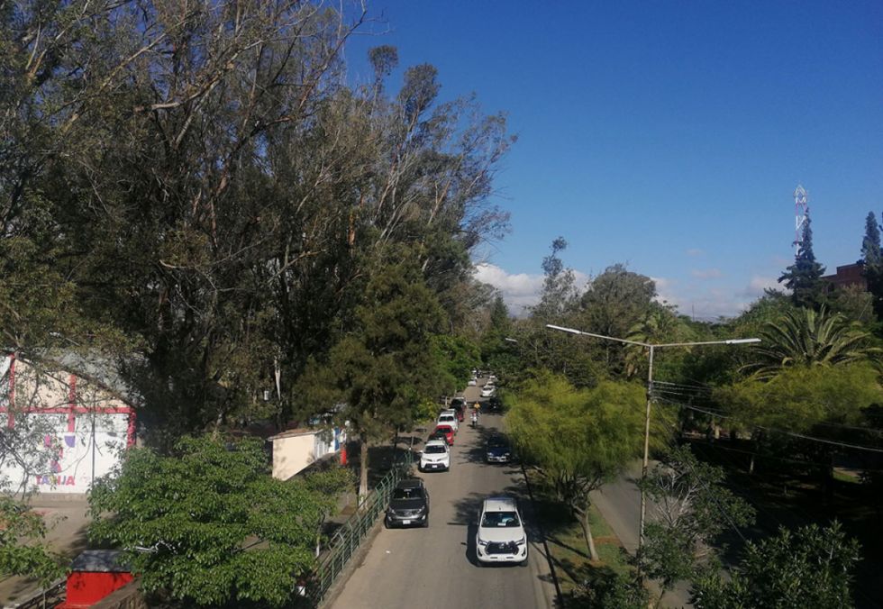 Avenida  de  la ciudad deTarija