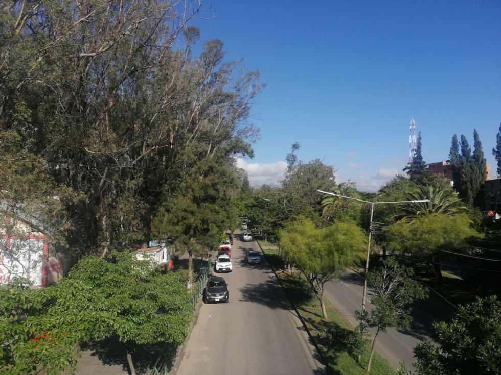 Avenida  de  la ciudad deTarija