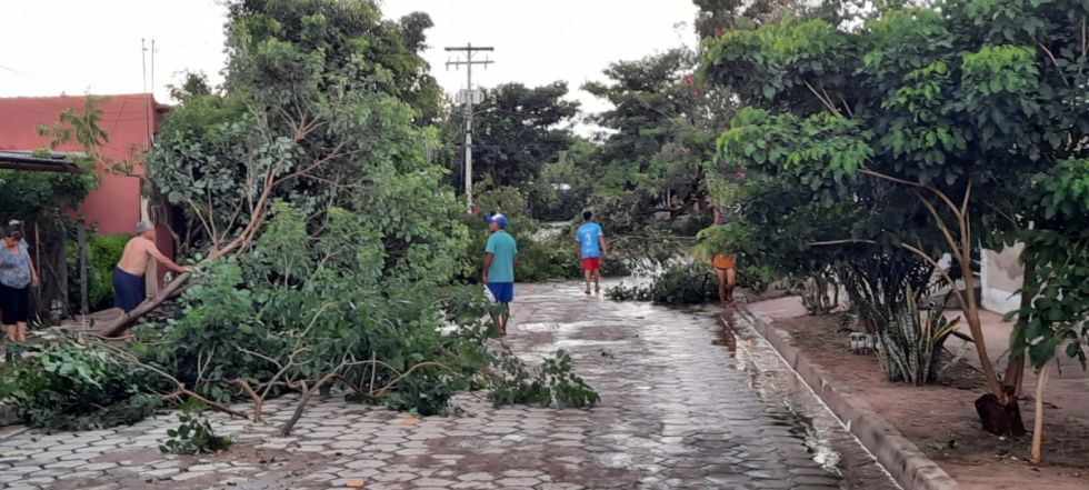 Yacuiba: Torrencial lluvia provoca estragos en el barrio Periodista (Fotos y video)