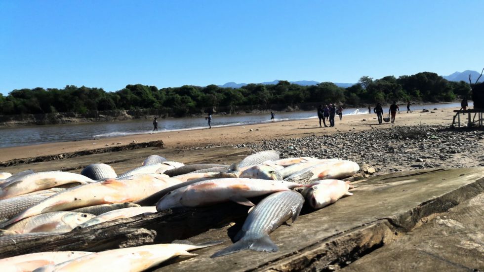 Alistan un plan de pesca para el río Pilcomayo 
