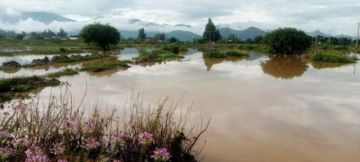Se eleva a 39 la cantidad de personas fallecidas debido a las intensas lluvias en el país