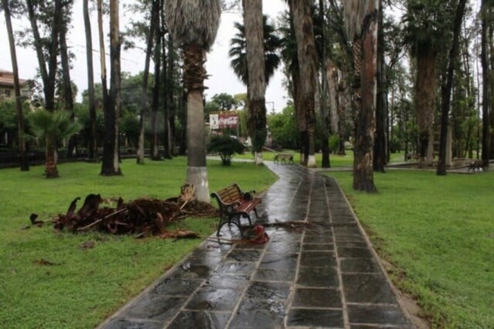 Concejo impulsa proyecto de Ley para establecer un Centro Paleontológico en el ex zoológico de Tarija