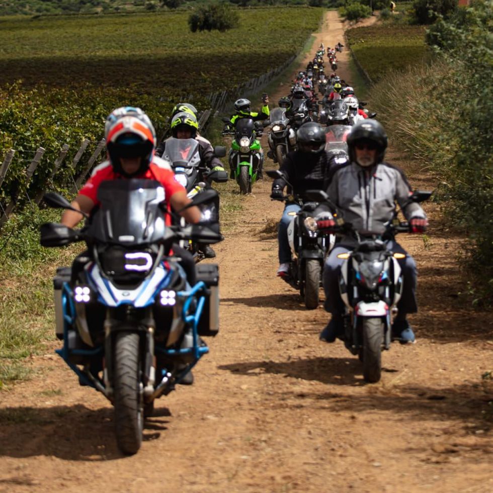 Sintiendo Tarija 2024 está a la vuelta de la esquina