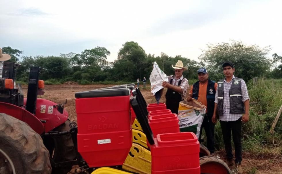 Colonia menonita en Villa Montes incursiona en la siembra de macororó