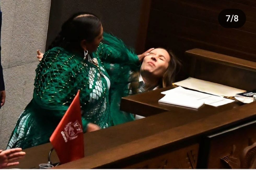Así quedó la diputada Mayra Zalles tras la agresión en la Asamblea