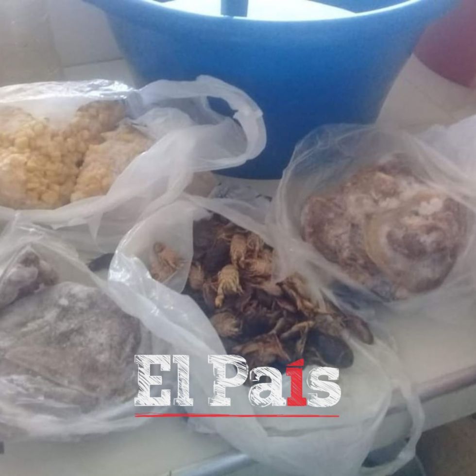Comisan alimentos en mal estado en San Jacinto