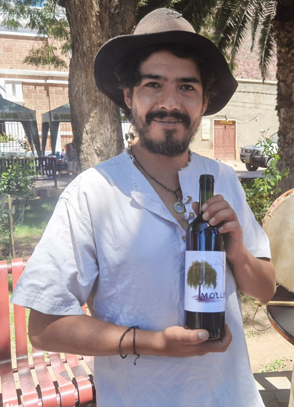 “Molle”, vino artesanal y orgánico desde Villa Abecia