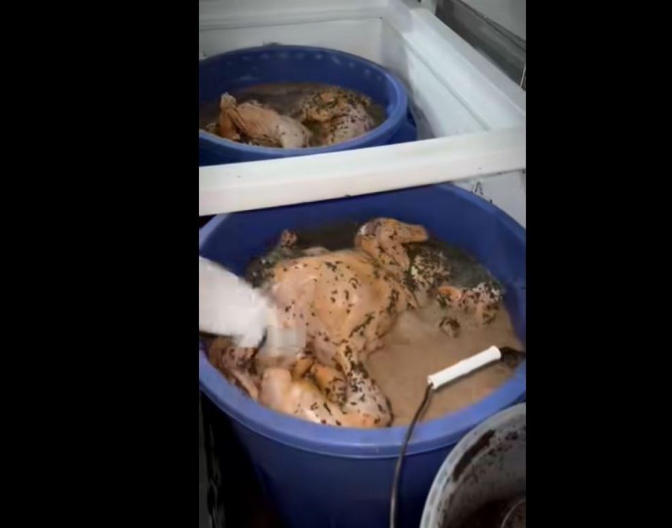 ¿Pollos al chulupi?: Concejal denuncia grave falta de higiene en restaurante (Video)