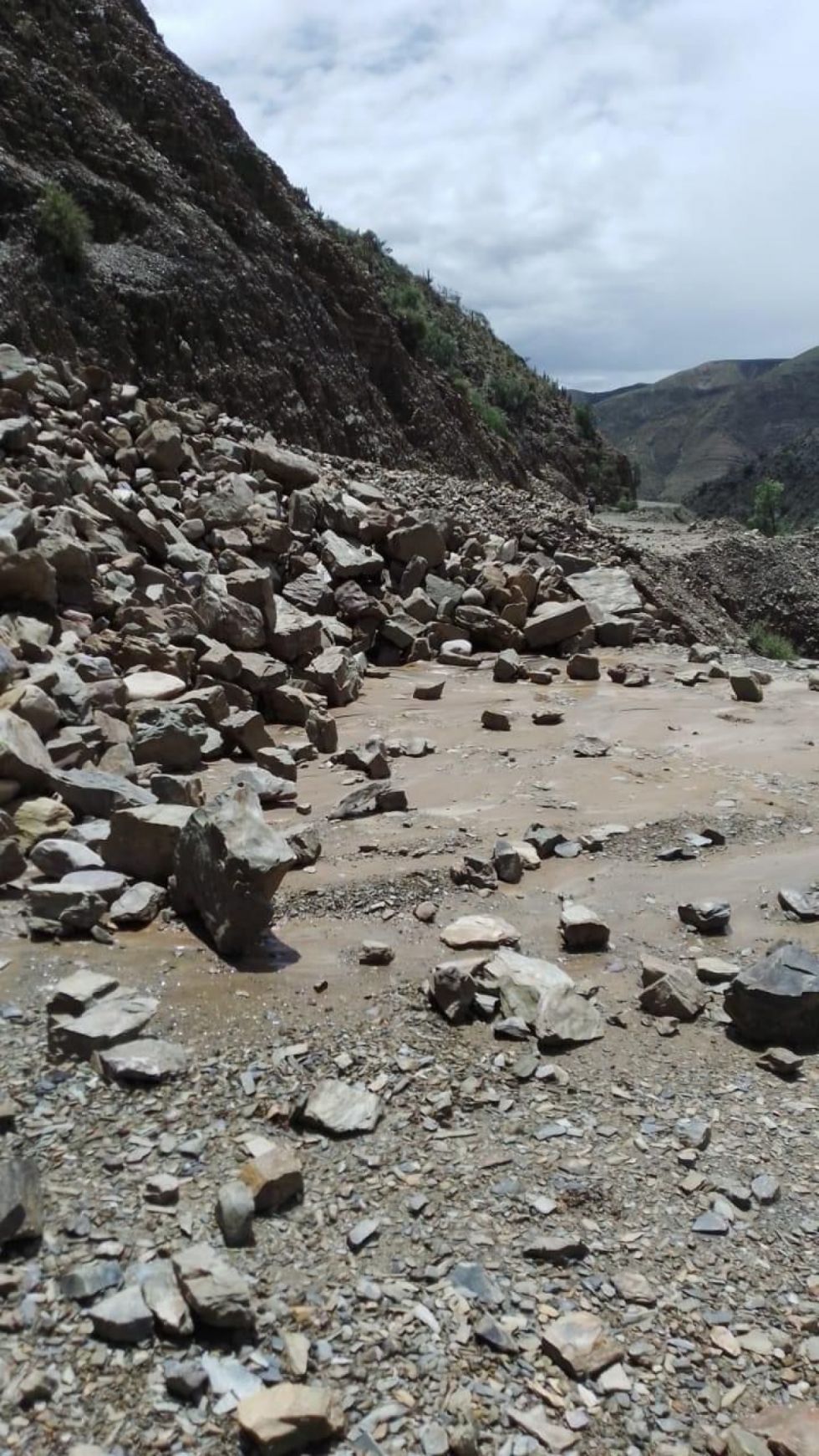 Reportan múltiples derrumbes en la ruta Tarija-Villazón (Videos)