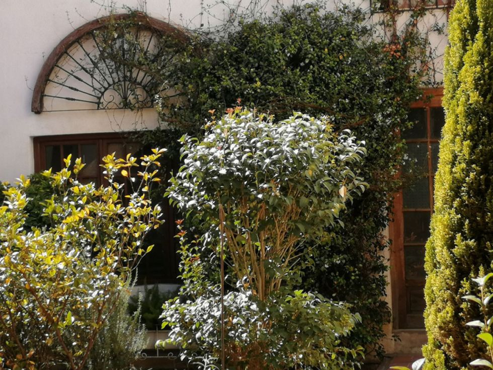 Jardines de la ciudad de Tarija