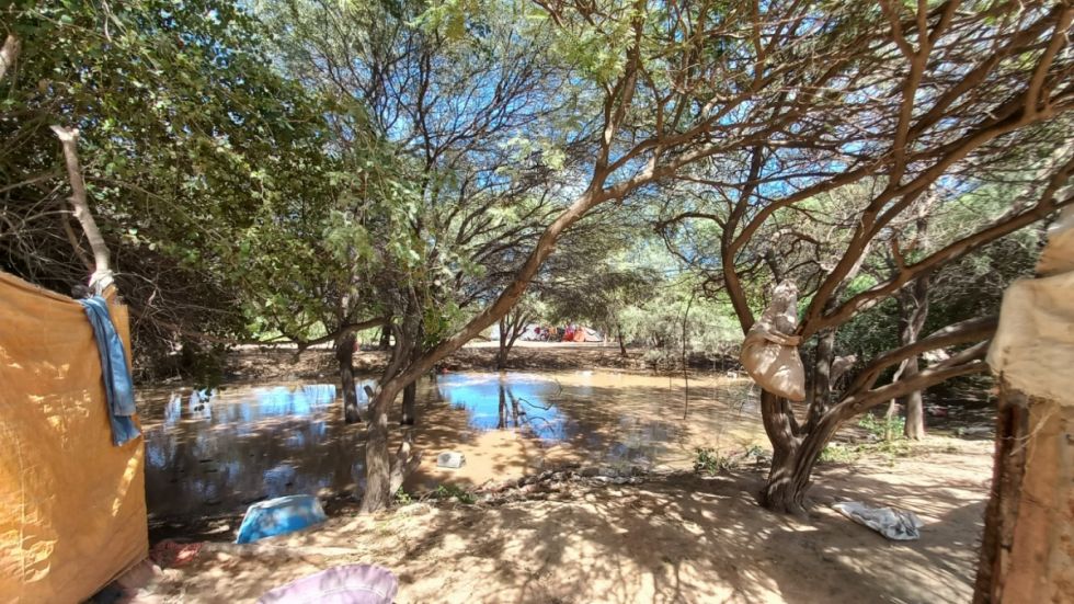 Investigación: El cambio climático aumenta la migración en el Chaco