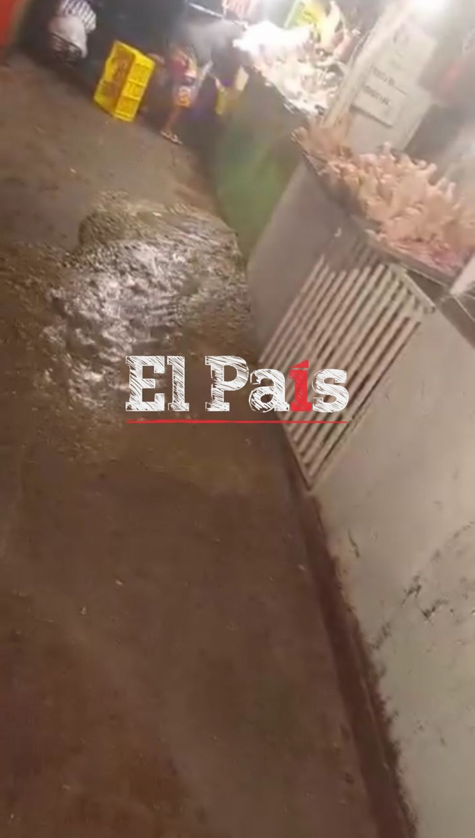 Materia fecal se esparce en el mercado de Yacuiba tras desborde de cámara séptica (Video)
