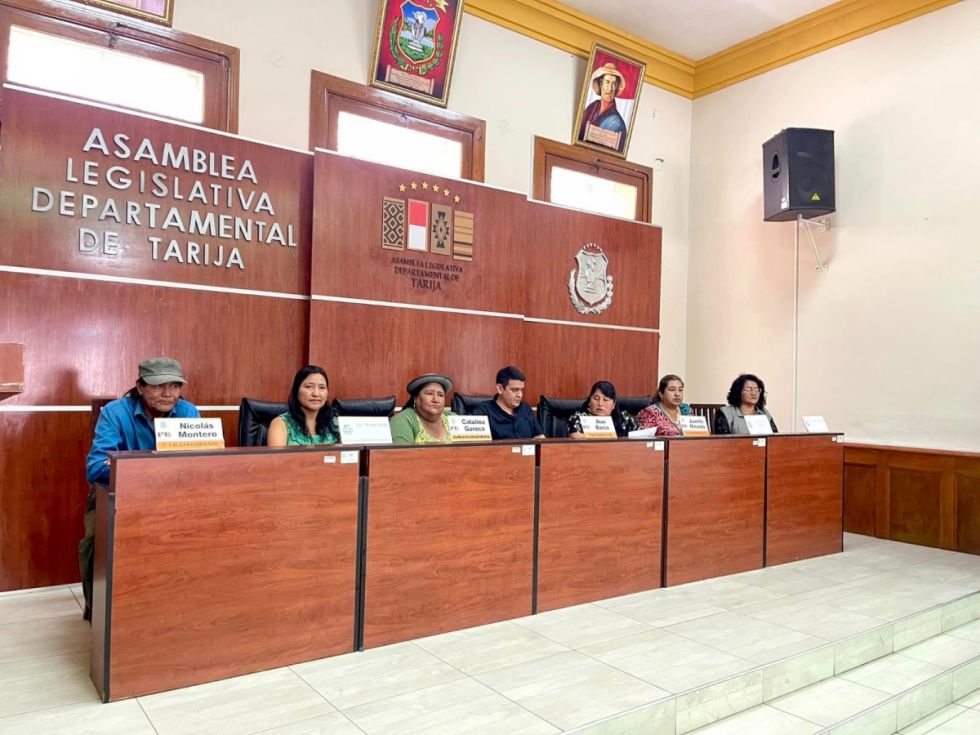 Denuncian a Juanita Miranda por viabilizar la ley del 45% en la ALDT