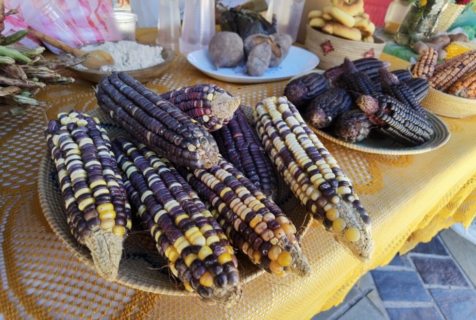 Tarija fue la sede del XXVII Encuentro de la Plataforma Nacional de Suelos para una Agricultura Sostenible