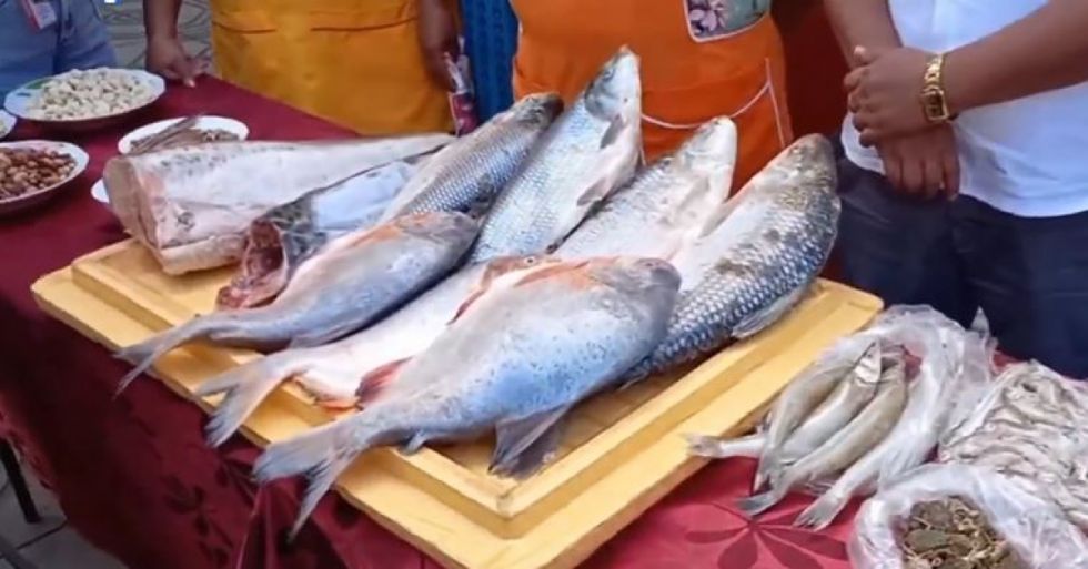 Invitan a la feria del pescado en el mercado El Dorado de Tarija