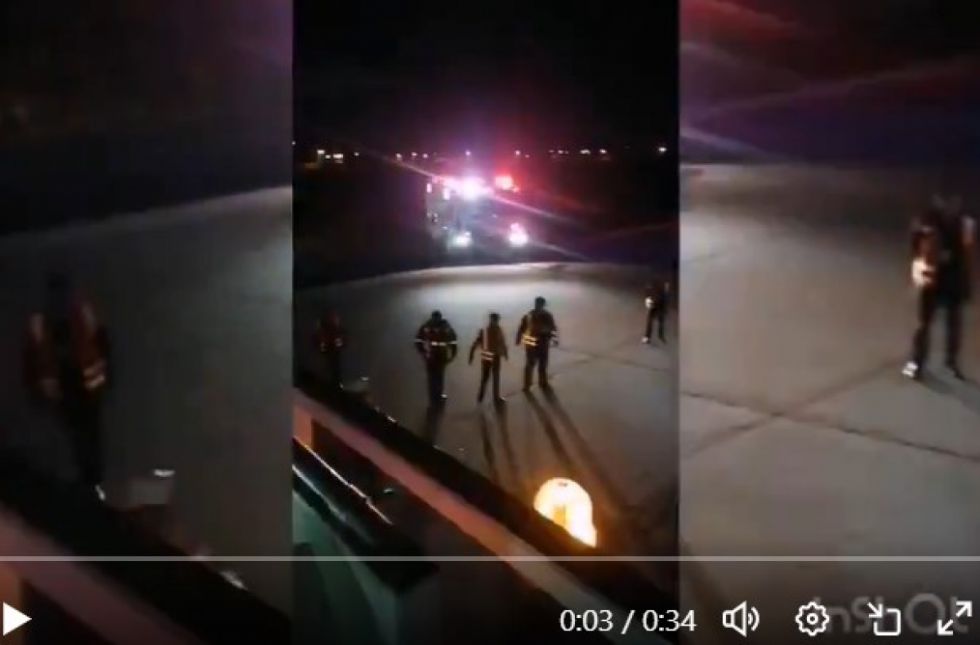 Perros sueltos en la pista del aeropuerto de El Alto provocan incidente