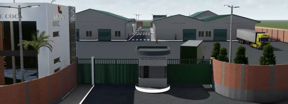 Kokabol prevé iniciar este año la construcción de la segunda Planta Industrializadora de Coca