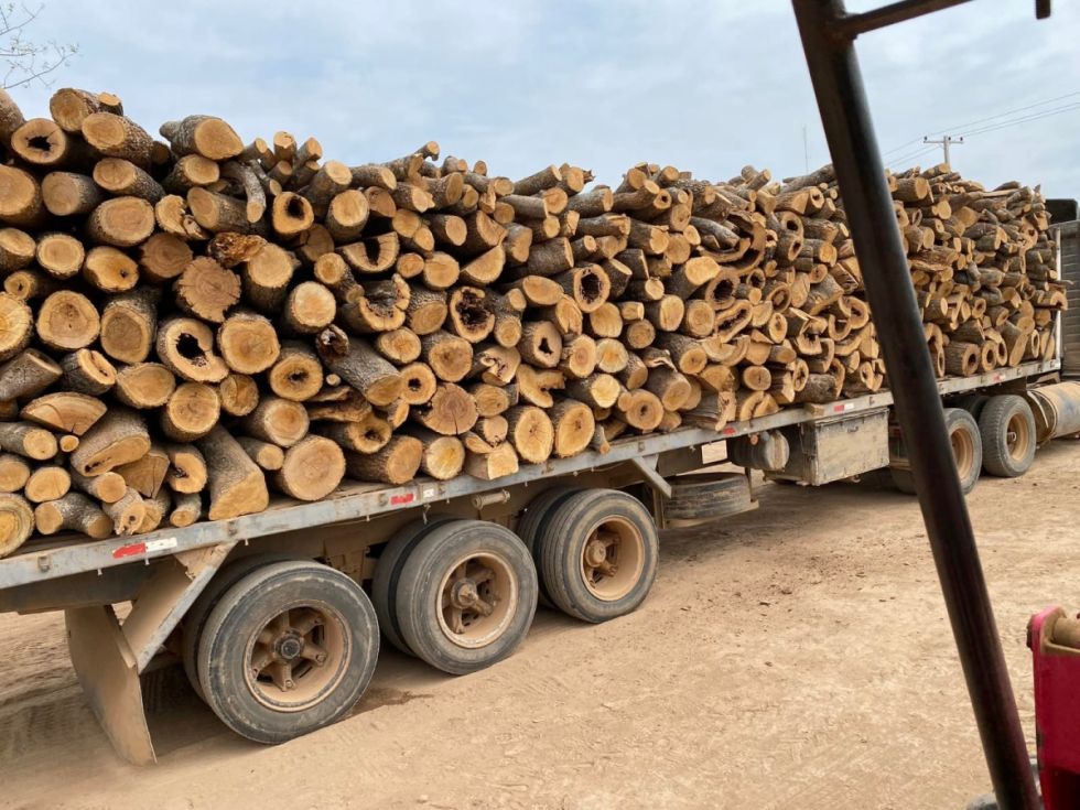 Villa Montes: Pedirán al Senado pausa ambiental por la deforestación 