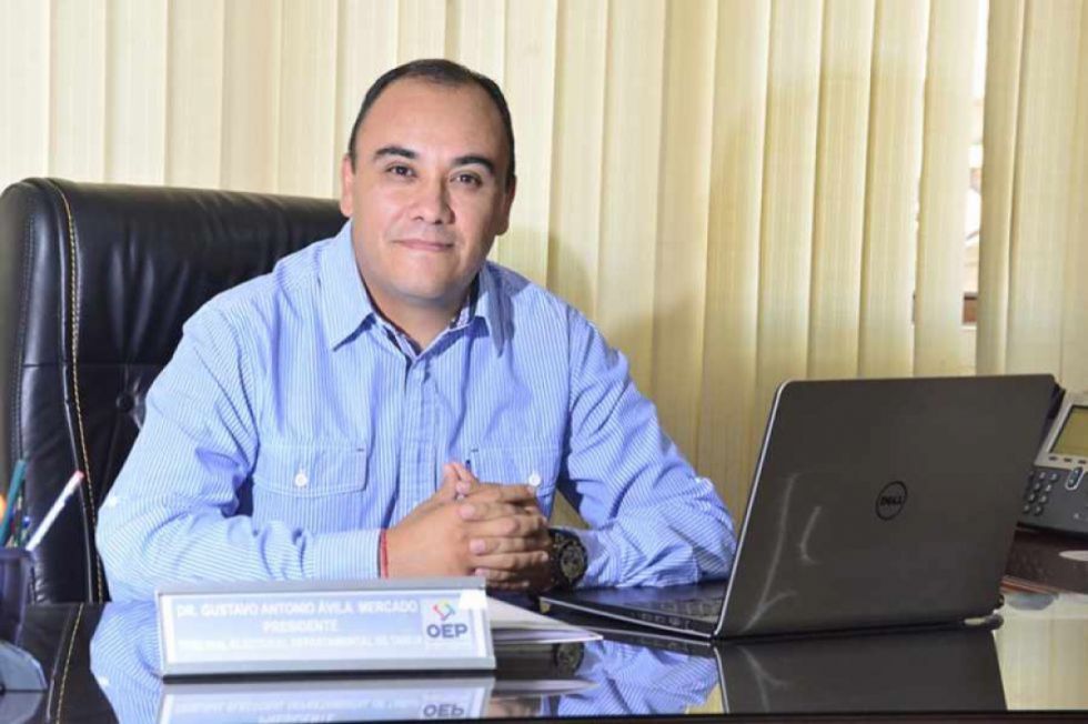 El tarijeño Gustavo Ávila es el nuevo vocal del TSE por designación de Arce
