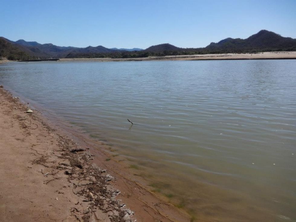 Limpian caminos para la pesca comercial en el río Pilcomayo
